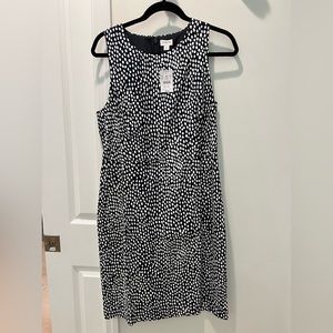 J Crew navy blue with white dots dress, size 10 NWT